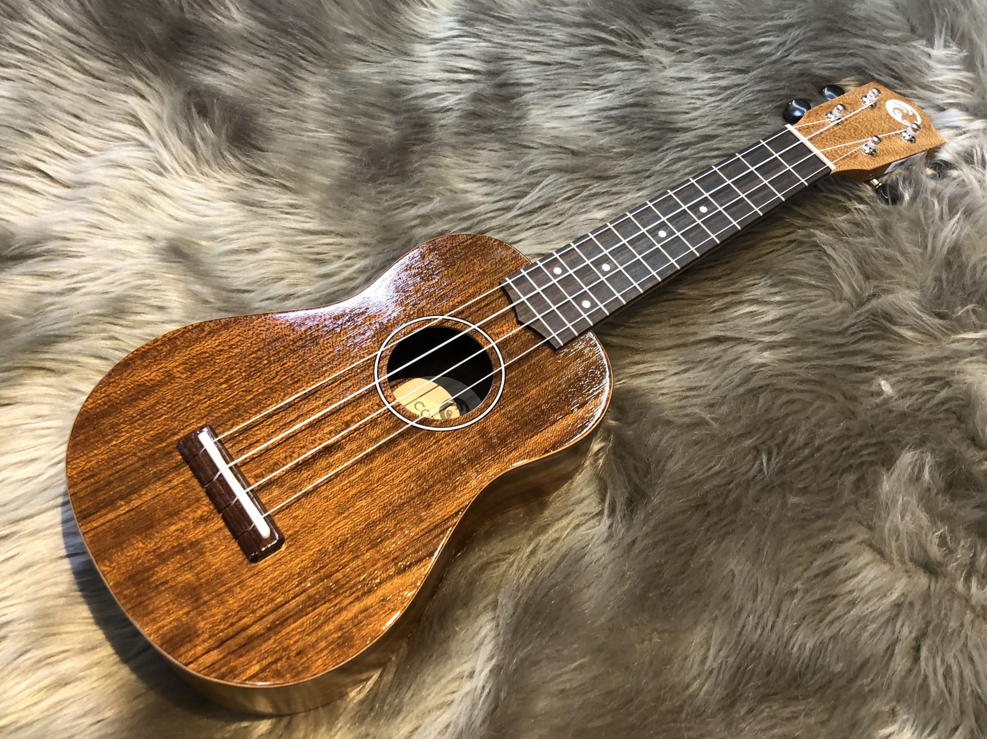 【ウクレレ紹介！】COTONE：CS3S