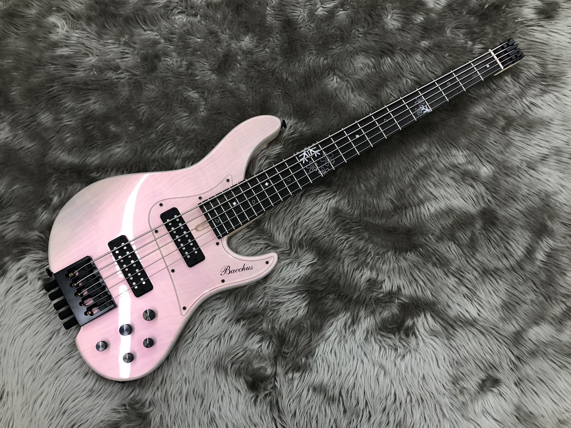 【エレキベース】Bacchusヘッドレスフェア開催中！島村楽器金沢フォーラス店