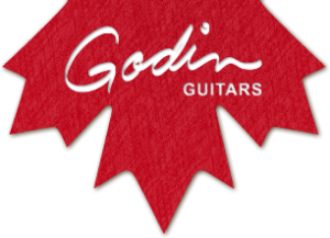 Godin（ゴダン）のエレガットの魅力を動画で検証！