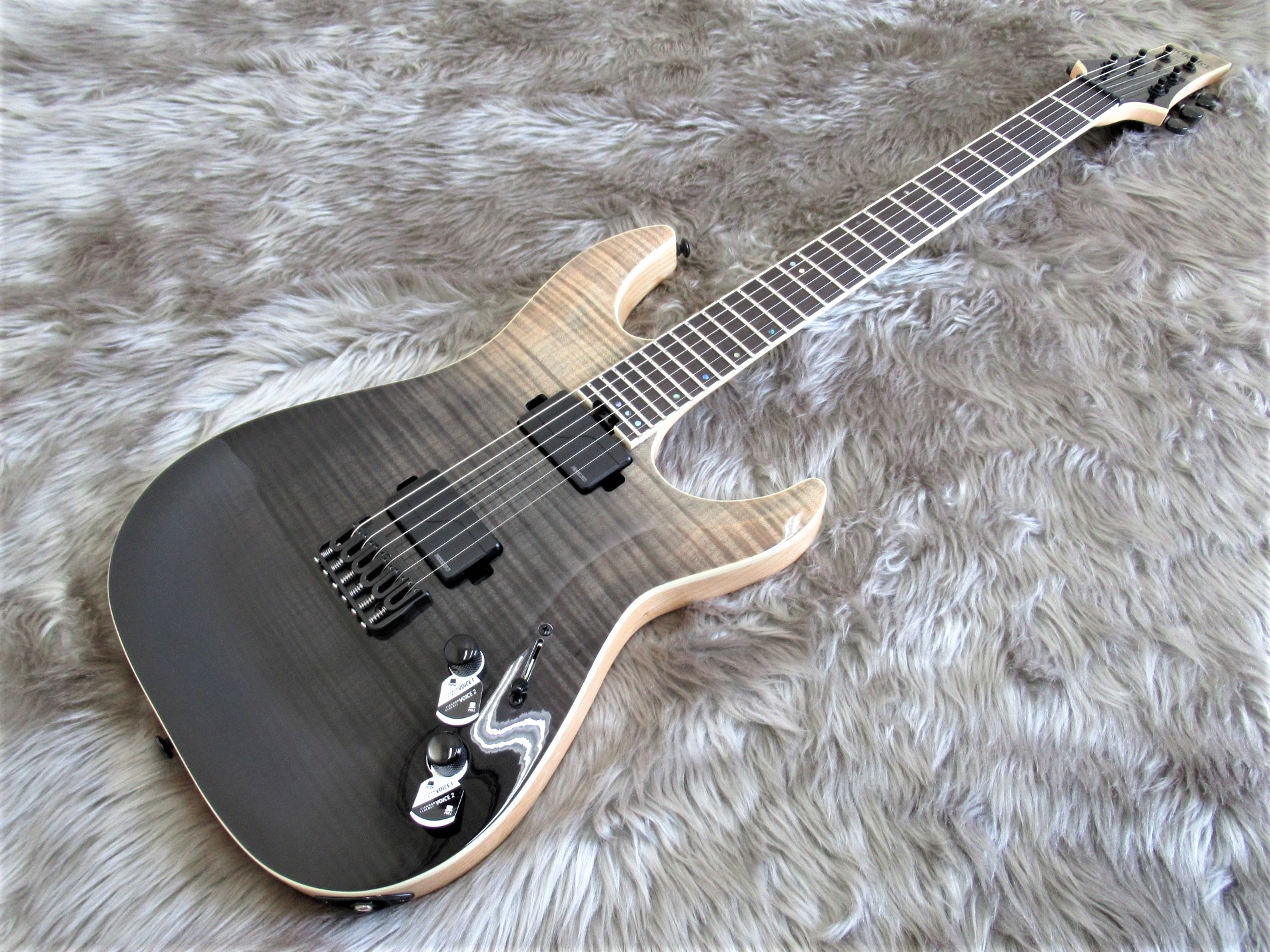 【エレキギター】SCHECTER C-1 SLS Elite 展示のご案内