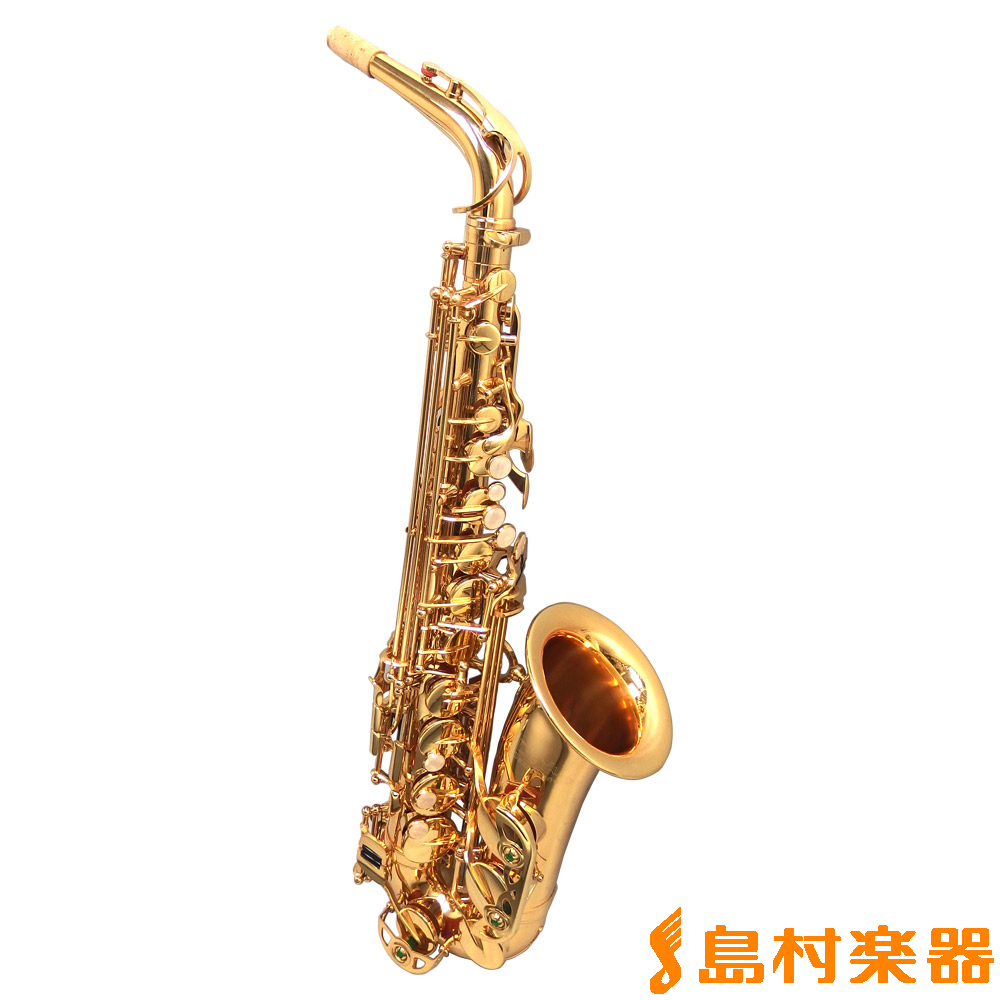 デユー A500 入門用アルトサックス 【DeYu A500 入門用アルトサックス】