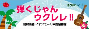 ウクレレの湿度対策はお済みですか？