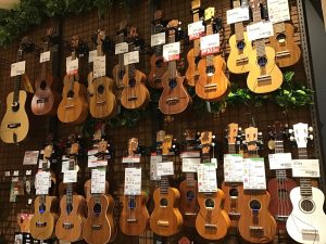 【ウクレレ展示品紹介ページ】売場ご案内！天王寺・あべのでウクレレをお探しの方にお勧め！