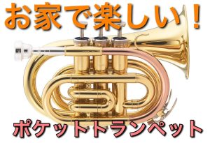 自宅でも簡単！ポケットトランペット「FTR-P」