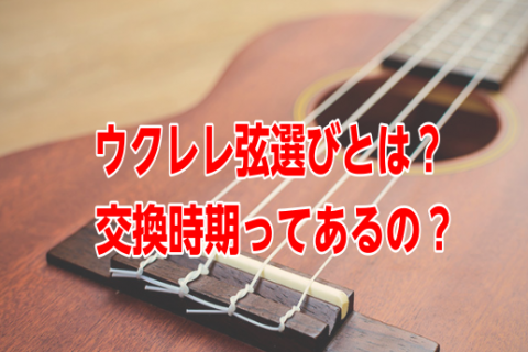 【ウクレレ弦交換】ウクレレ弦選びとは？交換時期ってあるの？サウンドを徹底解説2026年版！！