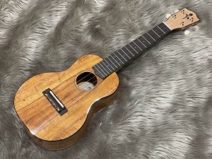 【入荷情報】FGN『FUS-TC-02』