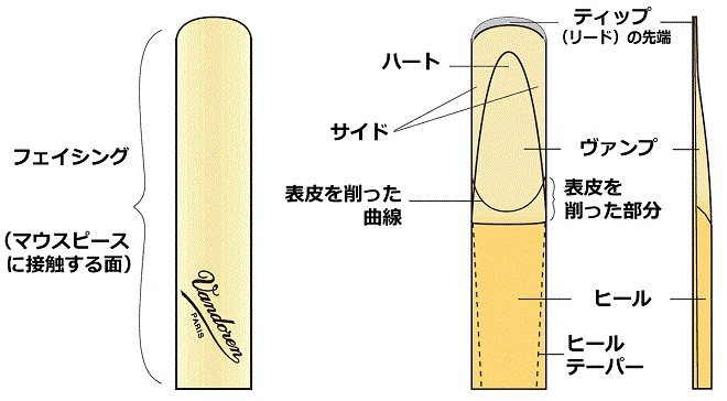 クラリネット/サックスのリード選びで知っておきたい事【木管楽器】