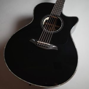 完売しましたFurch (フォルヒ) Rainbow Gc-SR BK CTM【当店オーダーモデル】