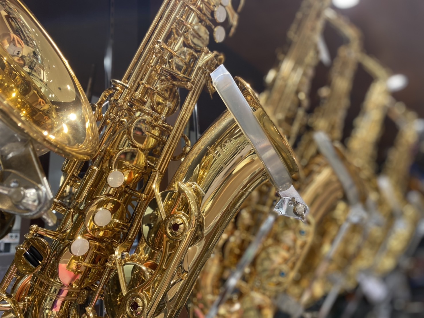 【管楽器】サックスラインナップ【島村楽器イオンレイクタウン店】