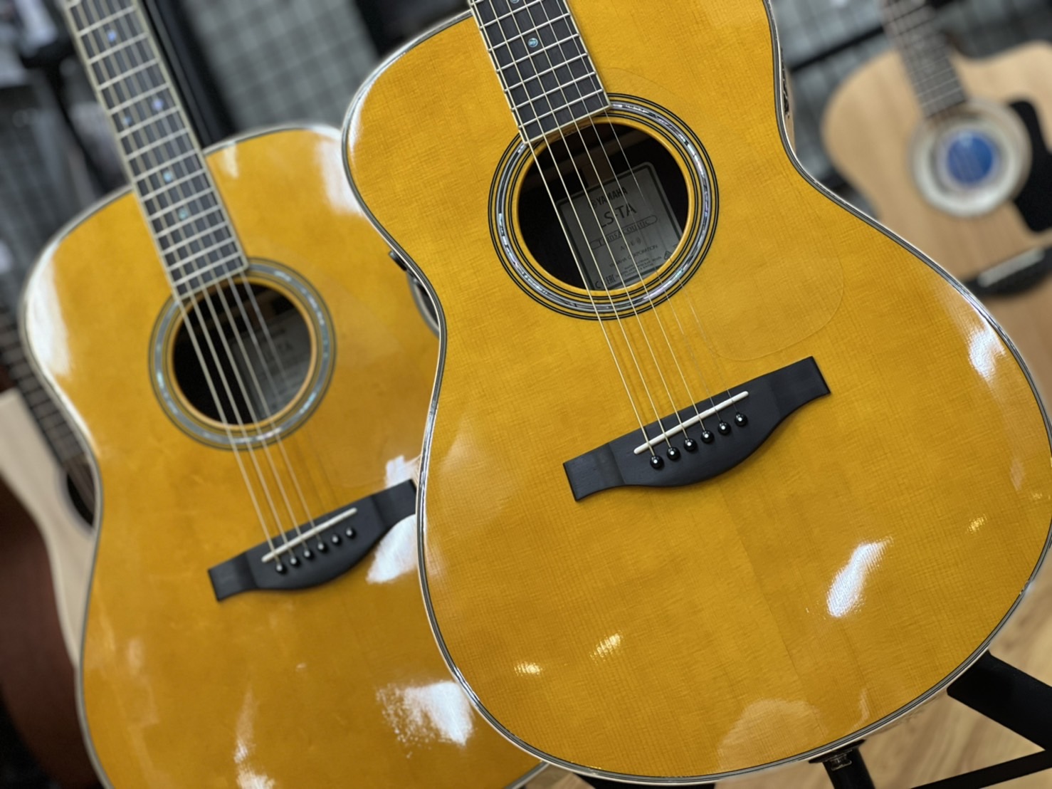 【アコースティックギター】YAMAHA人気のトランスアコースティックギター「LL-TA」「LS-TA」が入荷しました！