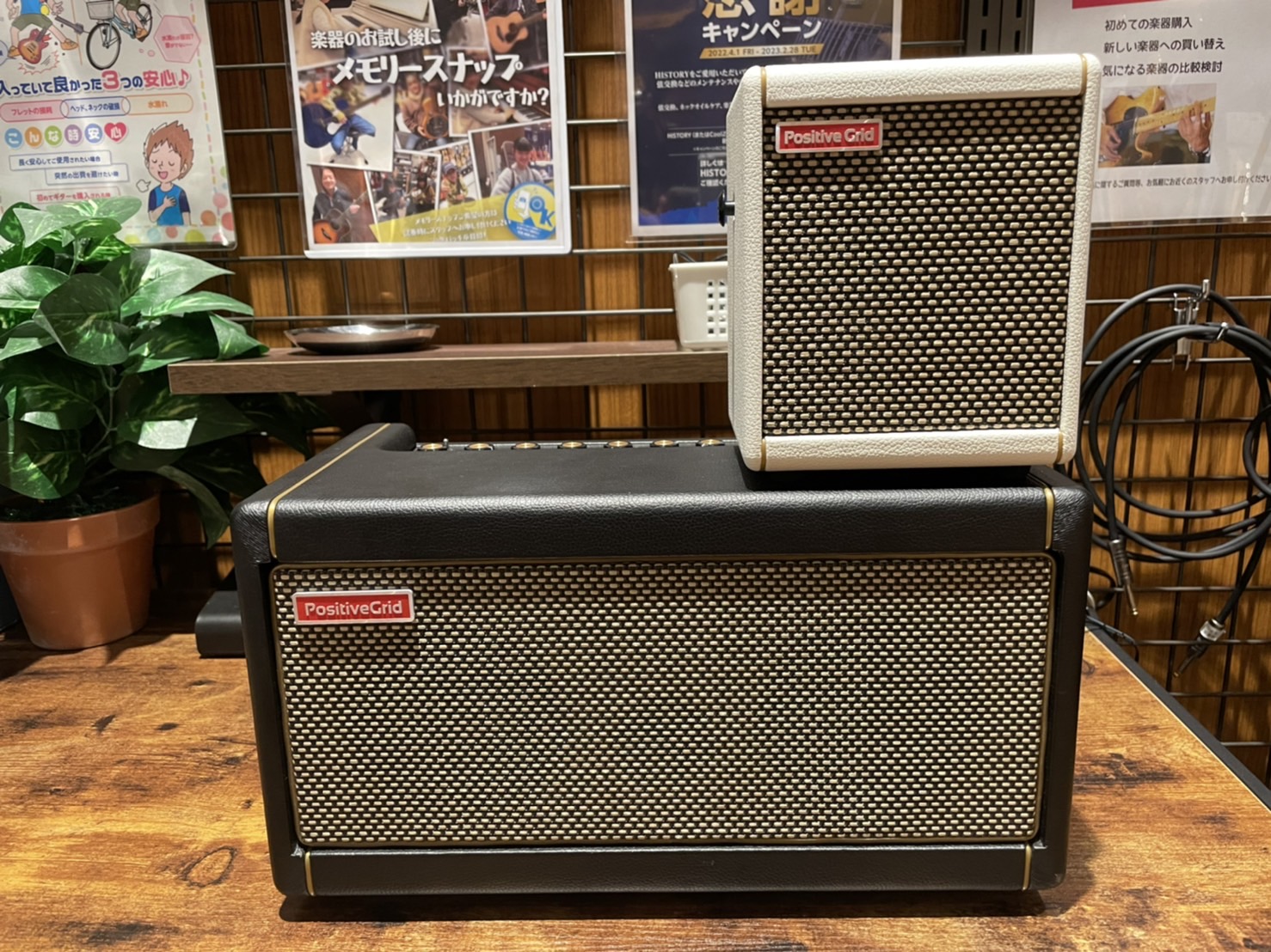 PositiveGrid　SPARK MINI【担当スタッフの本気紹介】