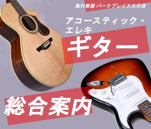 【総合案内】アコースティックギター・エレキギター 初心者～上級者向けまで 人気モデル展示中！【大分店】