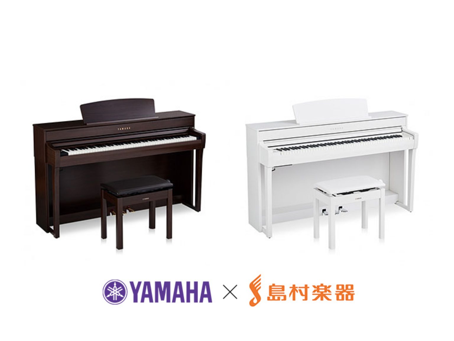 20221222-order_shima221222-