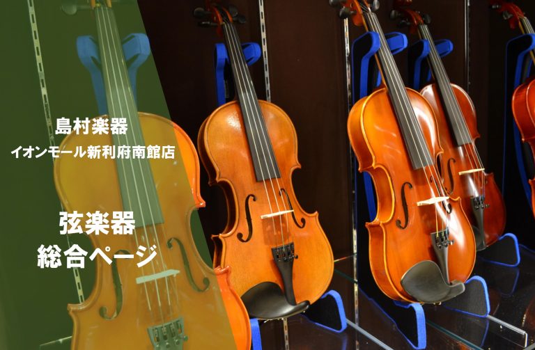 【弦楽器総合案内】入門バイオリンをお探しでしたら新利府南館店へ！