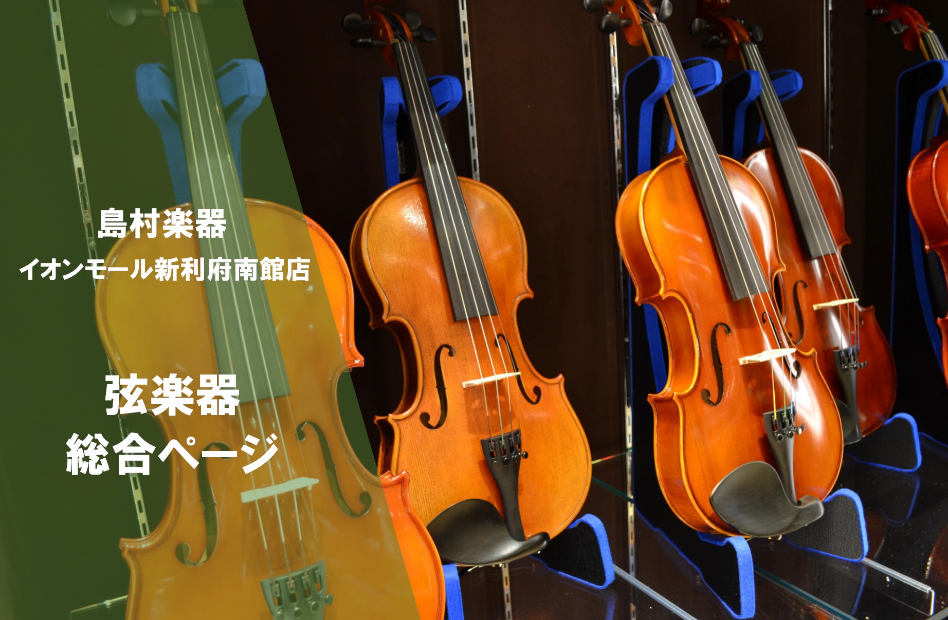 【弦楽器総合案内】入門バイオリンをお探しでしたら新利府南館店へ！