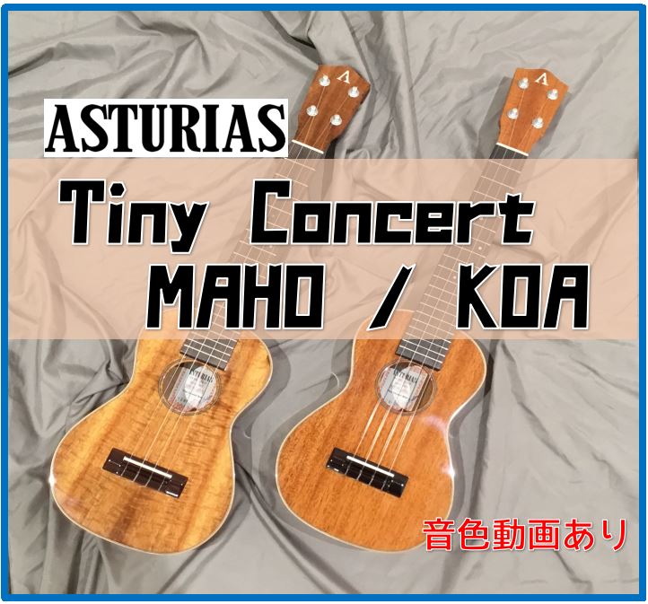 【ウクレレ】アストリアスよりTiny Concertシリーズ入荷