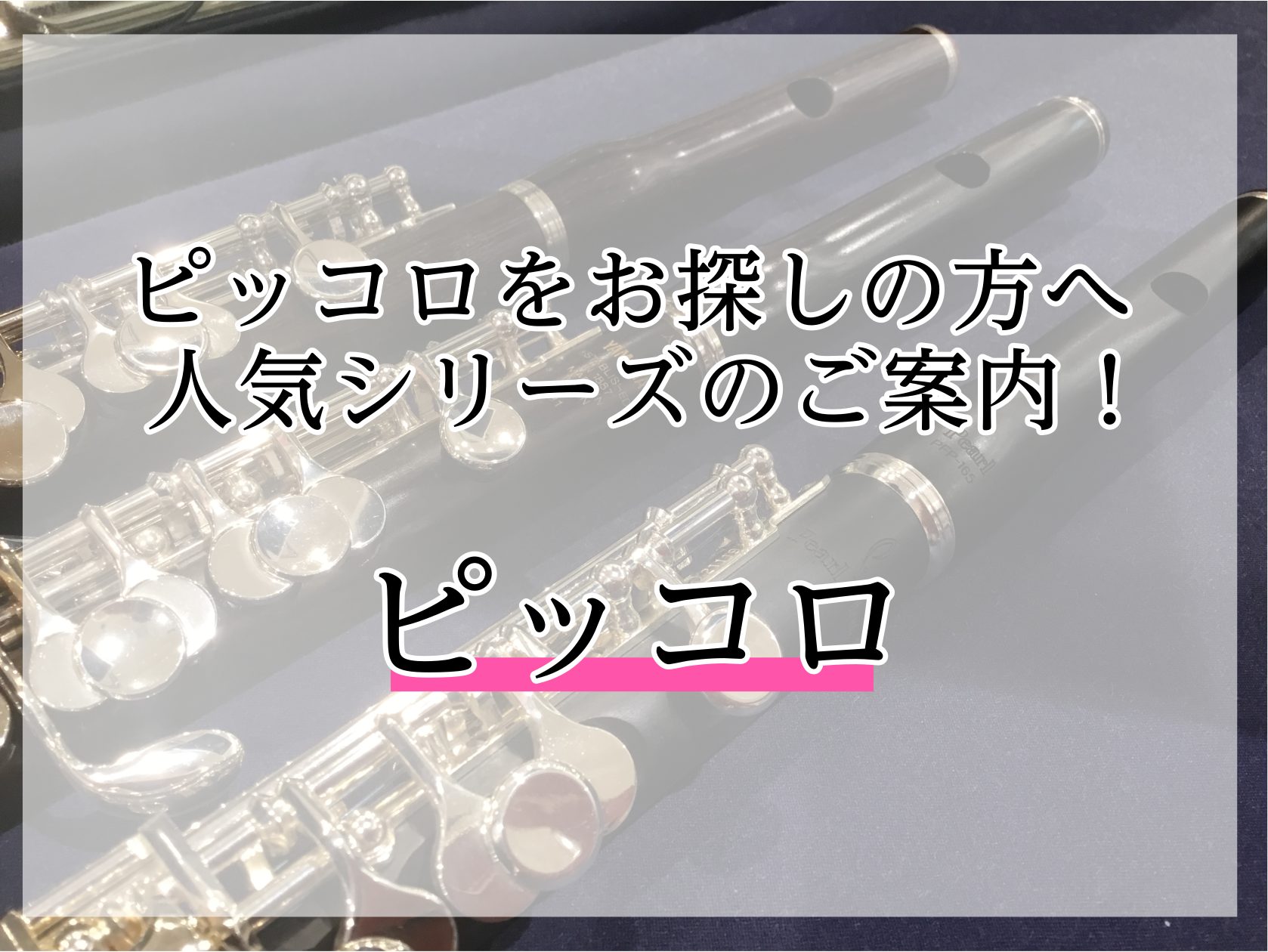 ピッコロをお探しの方へ人気シリーズのご案内！