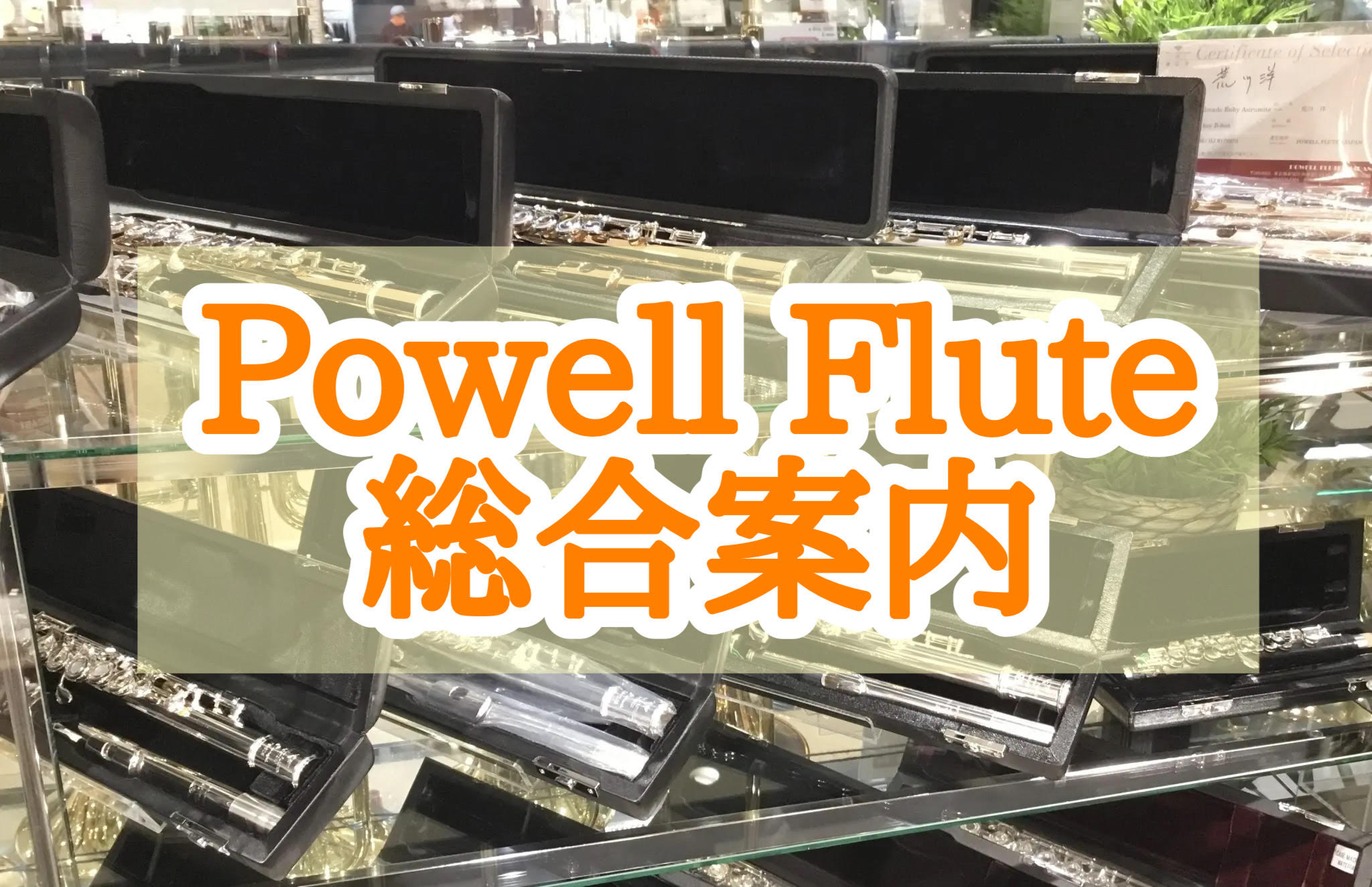 【パウエルフルートを一生の相棒にしよう！✨】