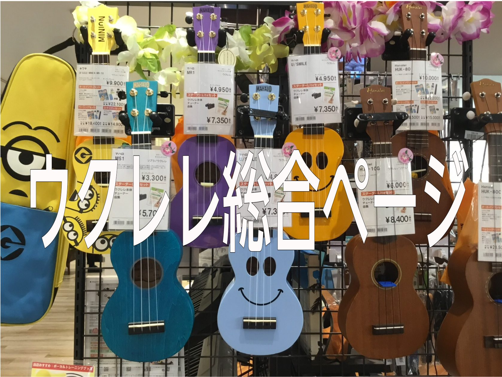 【ウクレレ総合】ウクレレを始めるなら、川口駅前のかわぐちキャスティ店へ！