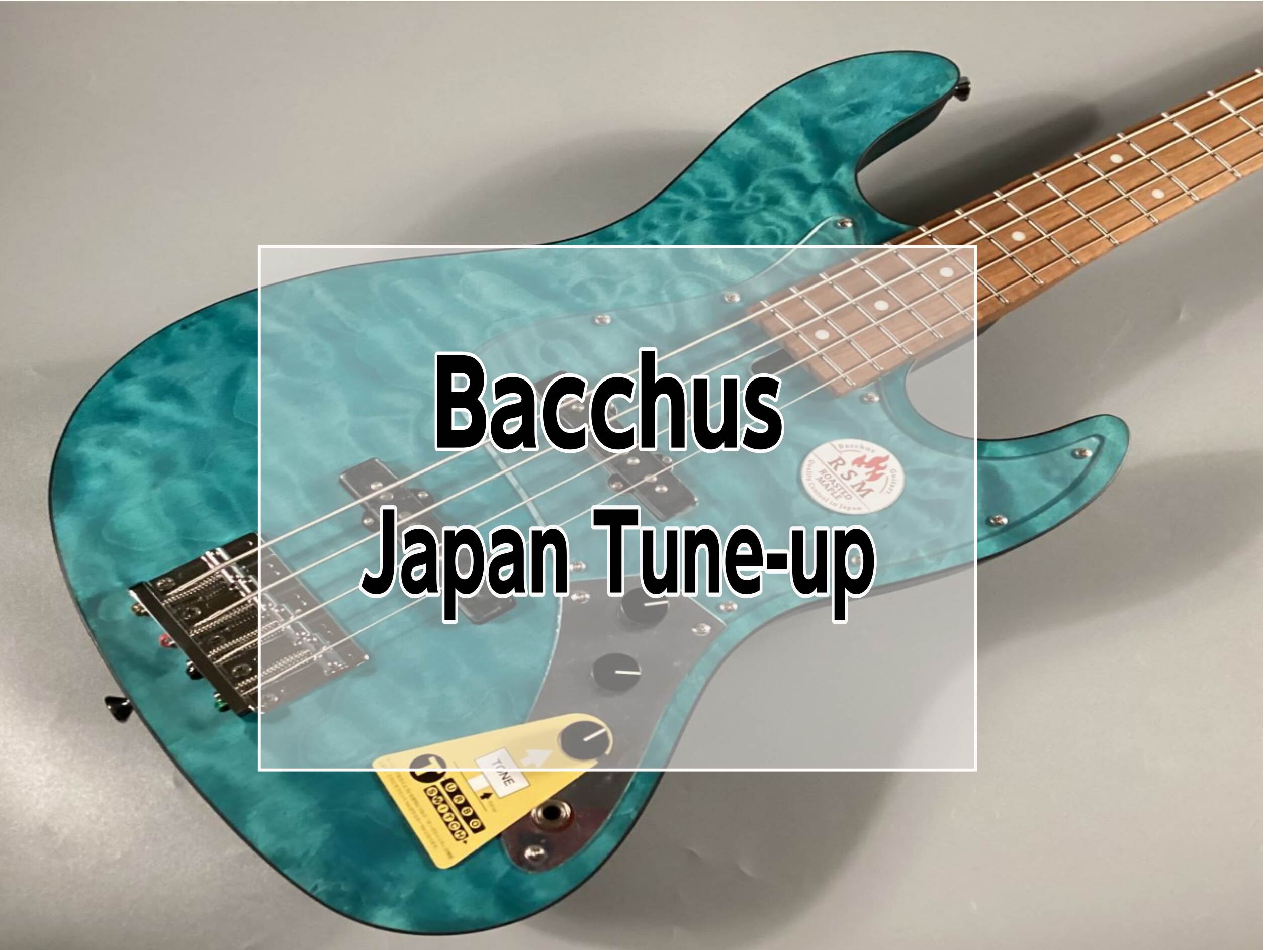 【ベース】バッカスのJapan Tune-upシリーズの魅力！