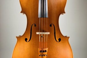 ＜Violoncello＞ Silvio Levaggi, Italy – Cremona, 2004　チェロ　シルヴィオ・レヴァッジ