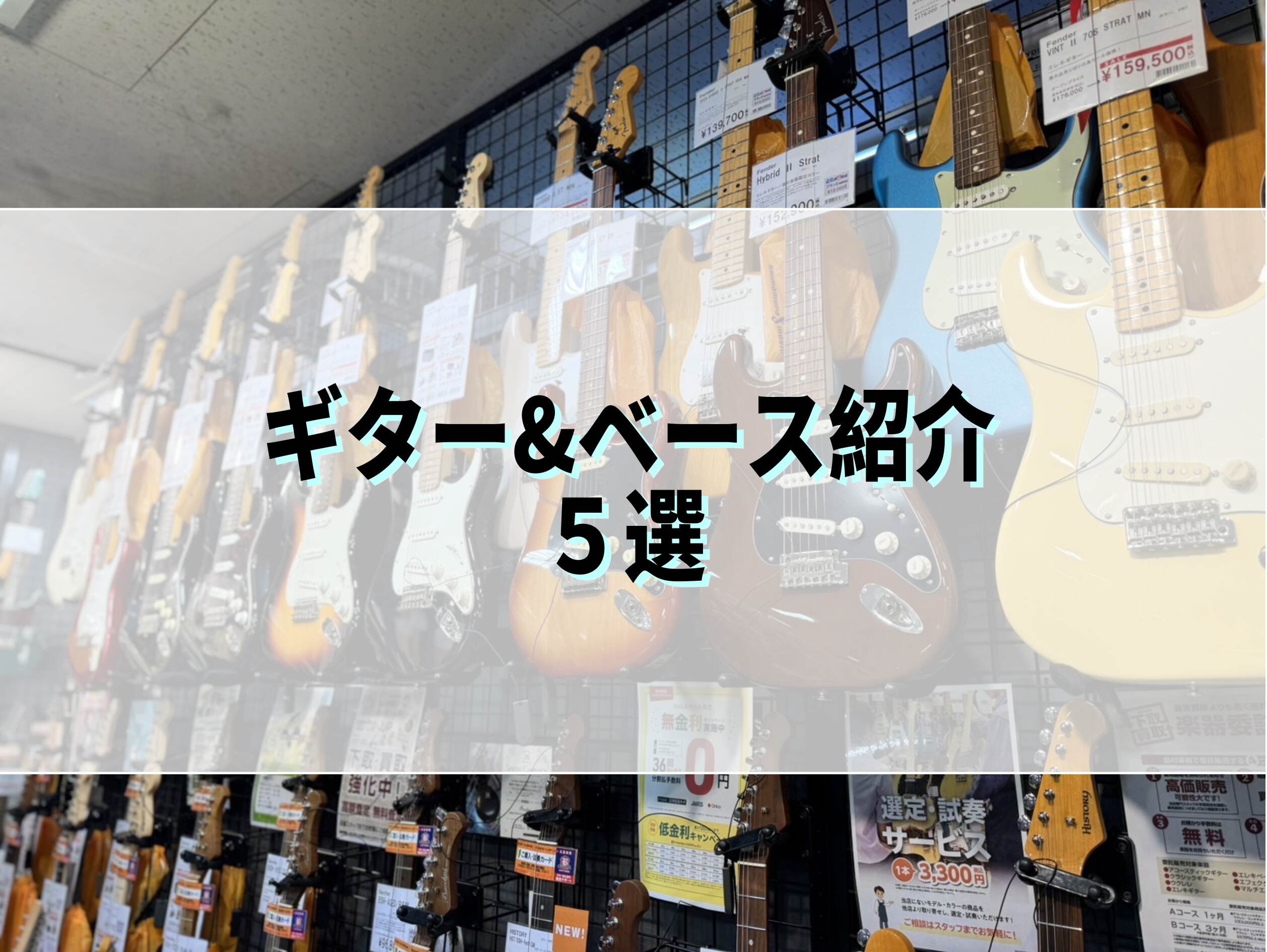 姫路店オススメのギター&ベース5選！【軽音学部の方へ】