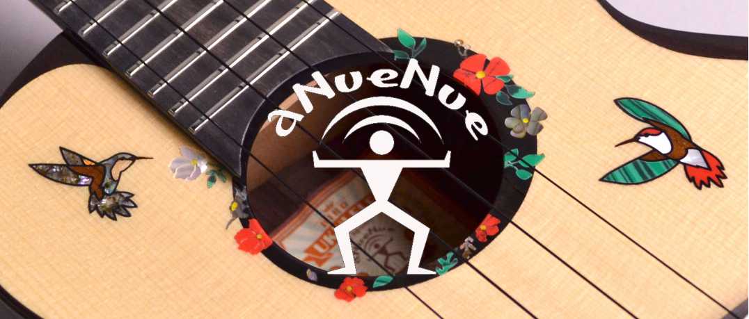【ウクレレ】aNueNue (アヌエヌエ) お取り扱い中