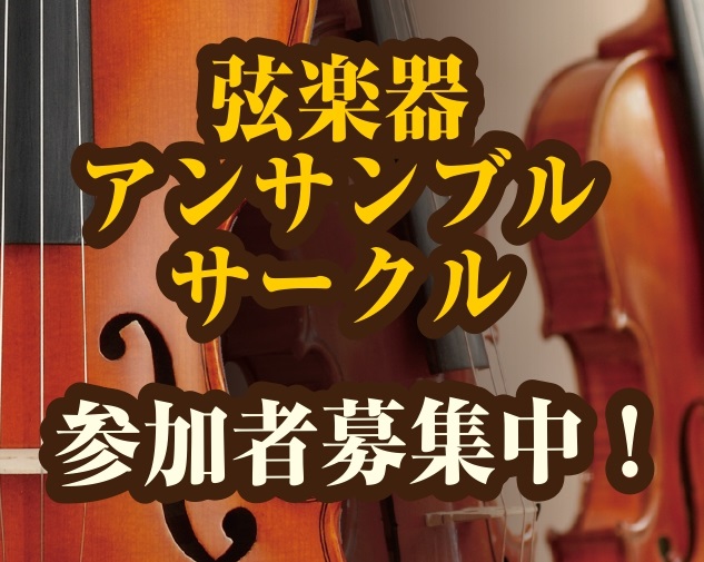 弦楽器アンサンブルサークル募集開始のお知らせ！！