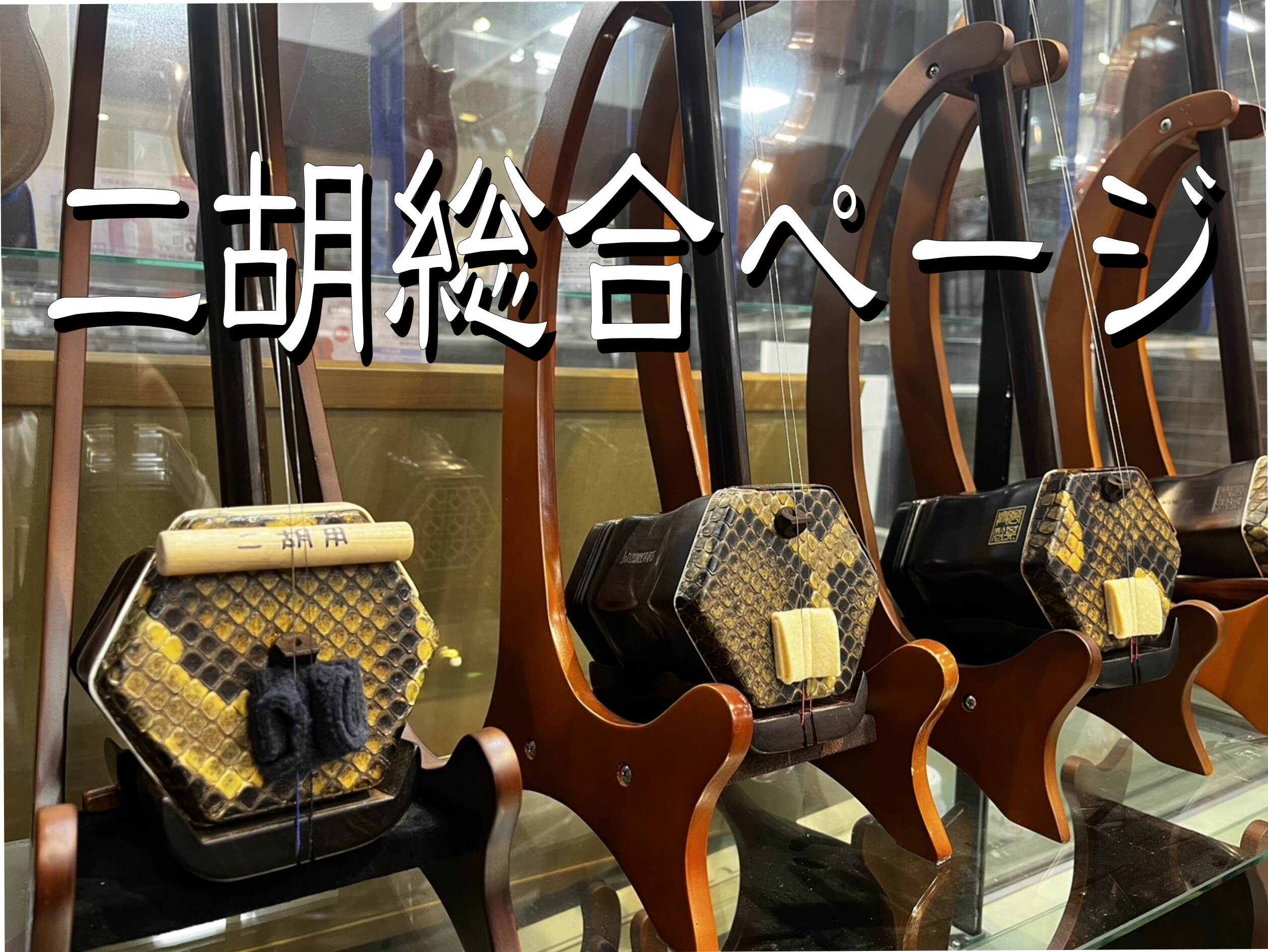 二胡の事ならイオンモール岡崎店へ