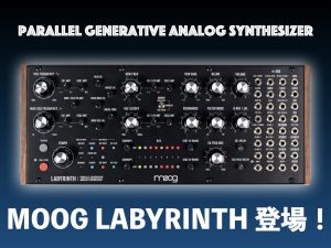 Moogの新たなセミモジュラーLabyrinth（ラビリンス）が登場！！