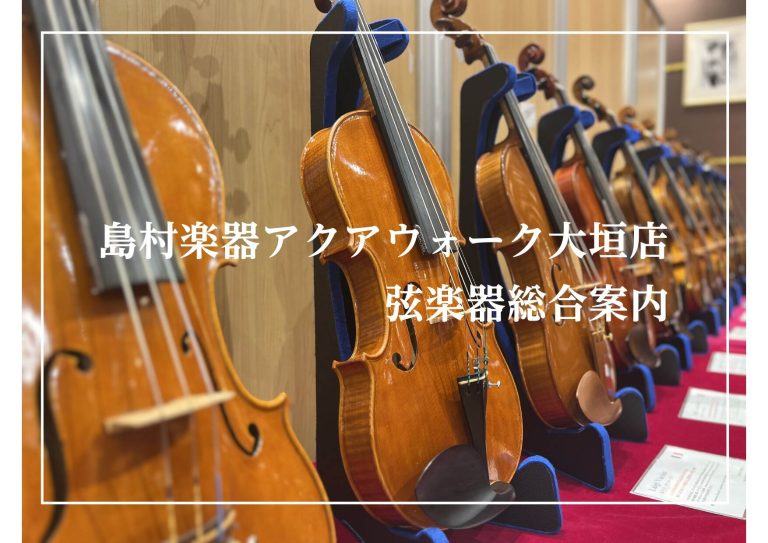 【弦楽器総合ページ】ヴァイオリン・弓、弦楽器選びならアクアウォーク大垣店にご相談ください。