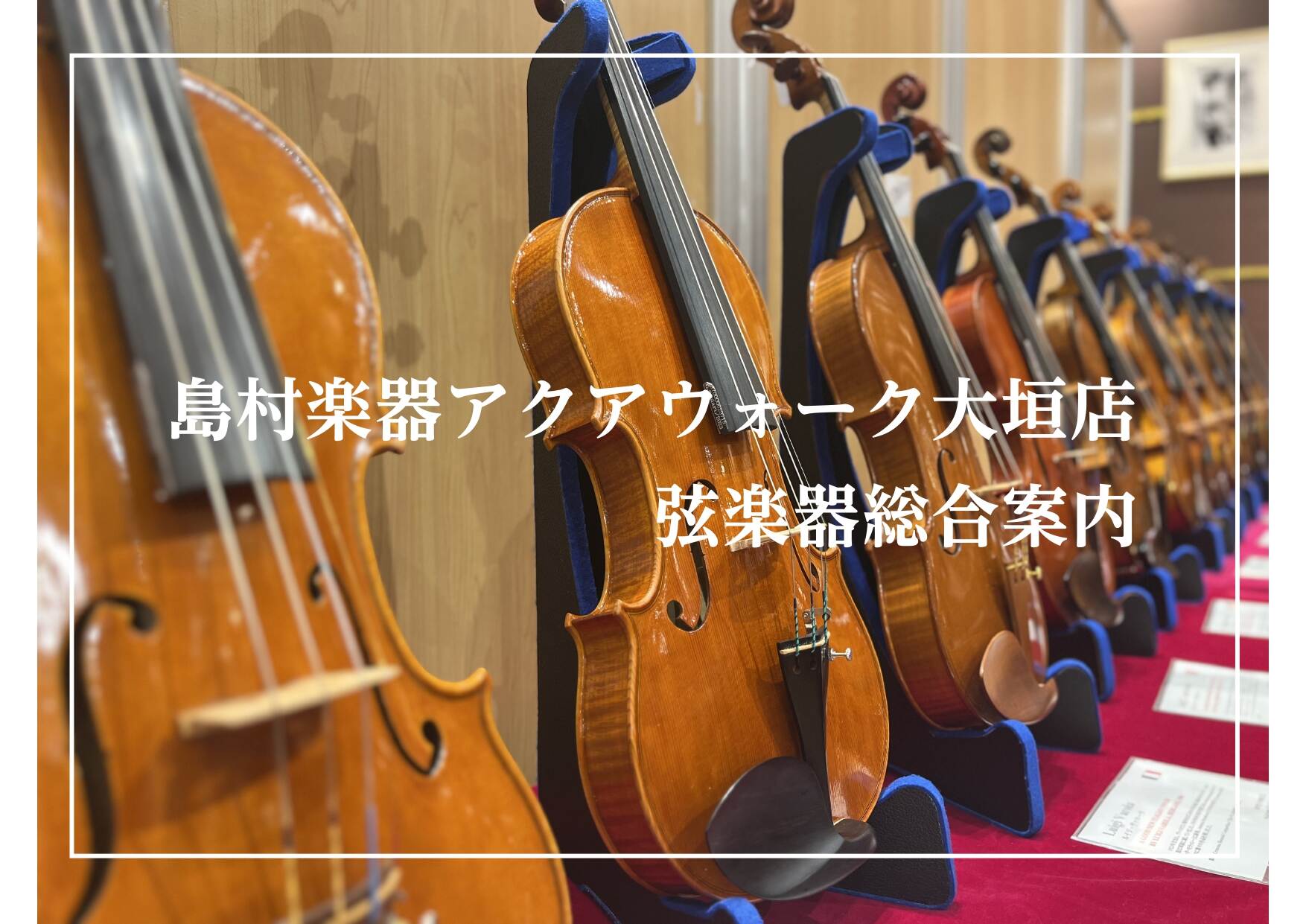 【弦楽器総合ページ】ヴァイオリン・弓、弦楽器選びならアクアウォーク大垣店にご相談ください。