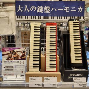 やってみよう！大人の鍵盤ハーモニカ