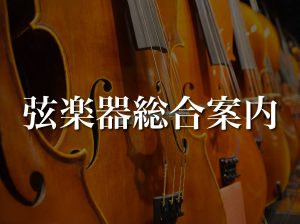 【弦楽器総合案内】憧れのバイオリン・チェロ・ビオラを始めよう♪ご相談は島村楽器名古屋則武新町店まで
