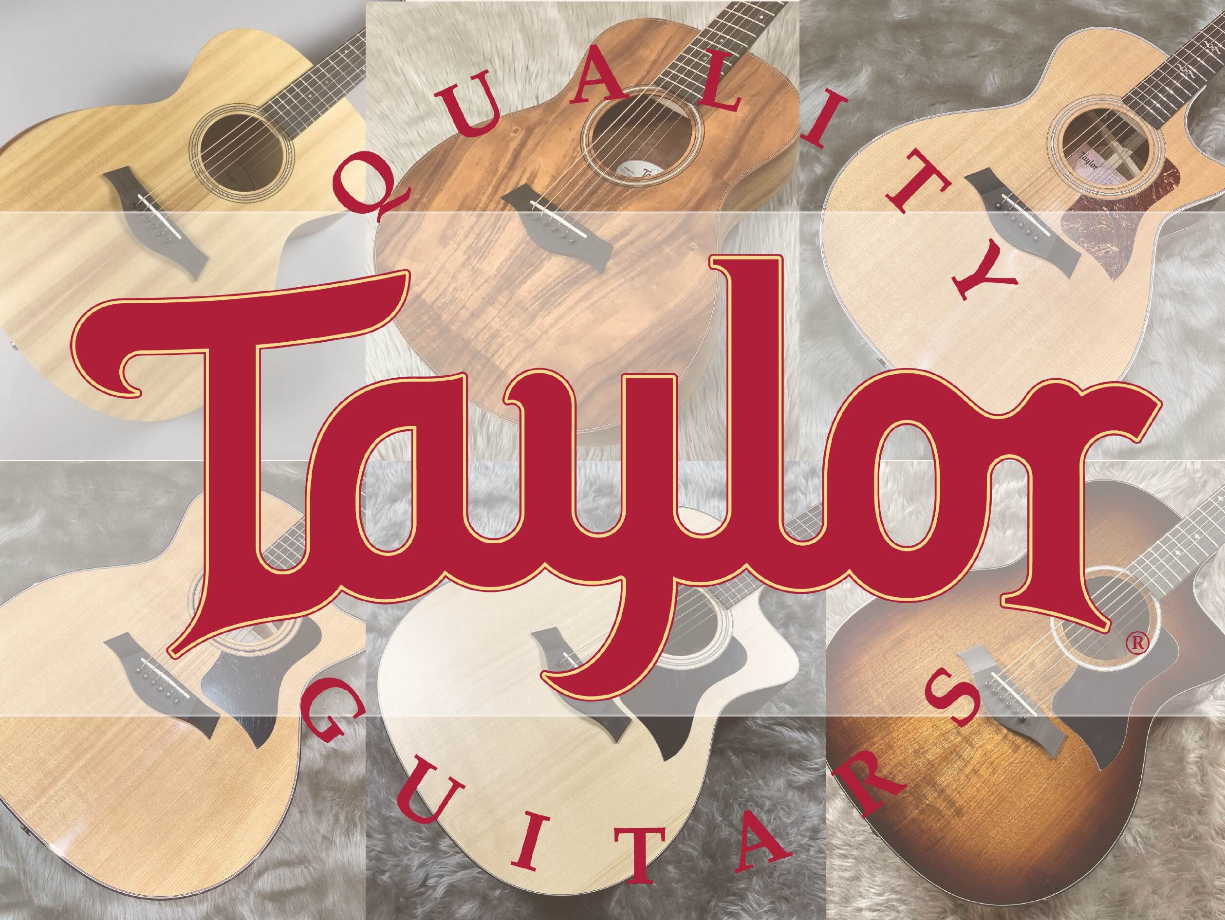 【アコースティックギター】Taylorギター多数展示中！