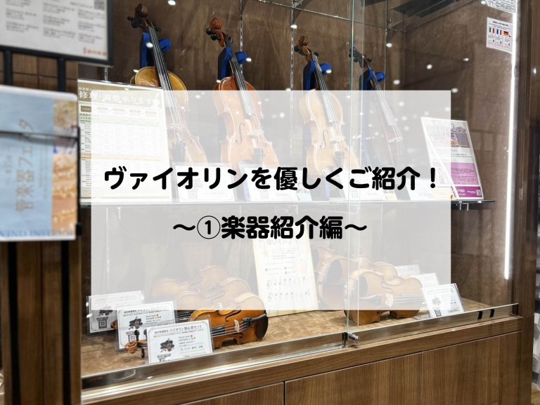 ヴァイオリンを優しくご紹介！　～①楽器紹介編～