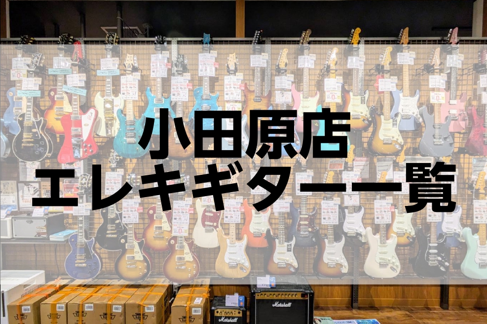 小田原店エレキギター価格帯別一覧(2024/12/20更新)