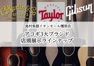 【マーチン、ギブソン、テイラー】アコースティック3大メーカー揃ってます!!【2024版】島村楽器イオンモール橿原店