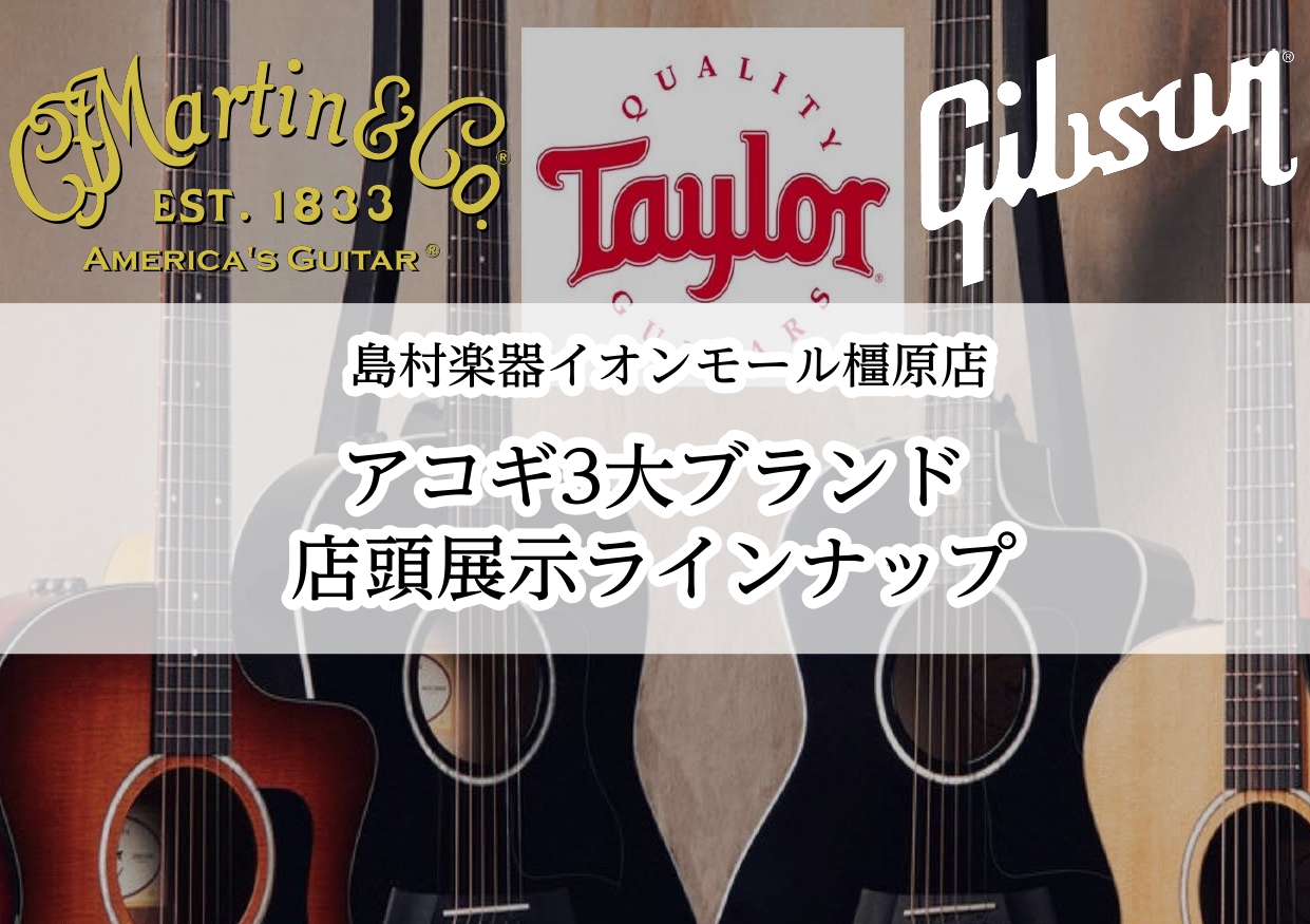 【マーチン、ギブソン、テイラー】アコースティック3大メーカー揃ってます!!【2024版】島村楽器イオンモール橿原店
