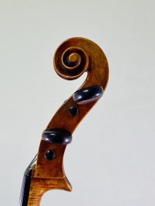 ＜Violoncello＞ Custode Marcucci, Italy – Sant’Agata sul Santerno, ca1890　チェロ　クストーデ・マルクッチ