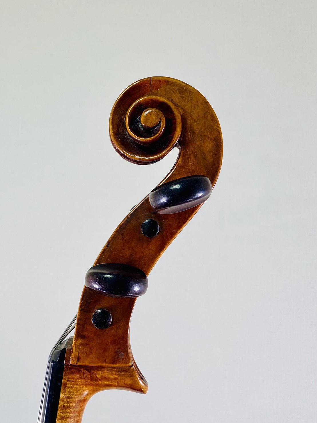 ＜Violoncello＞ Custode Marcucci, Italy – Sant’Agata sul Santerno, ca1890　チェロ　クストーデ・マルクッチ