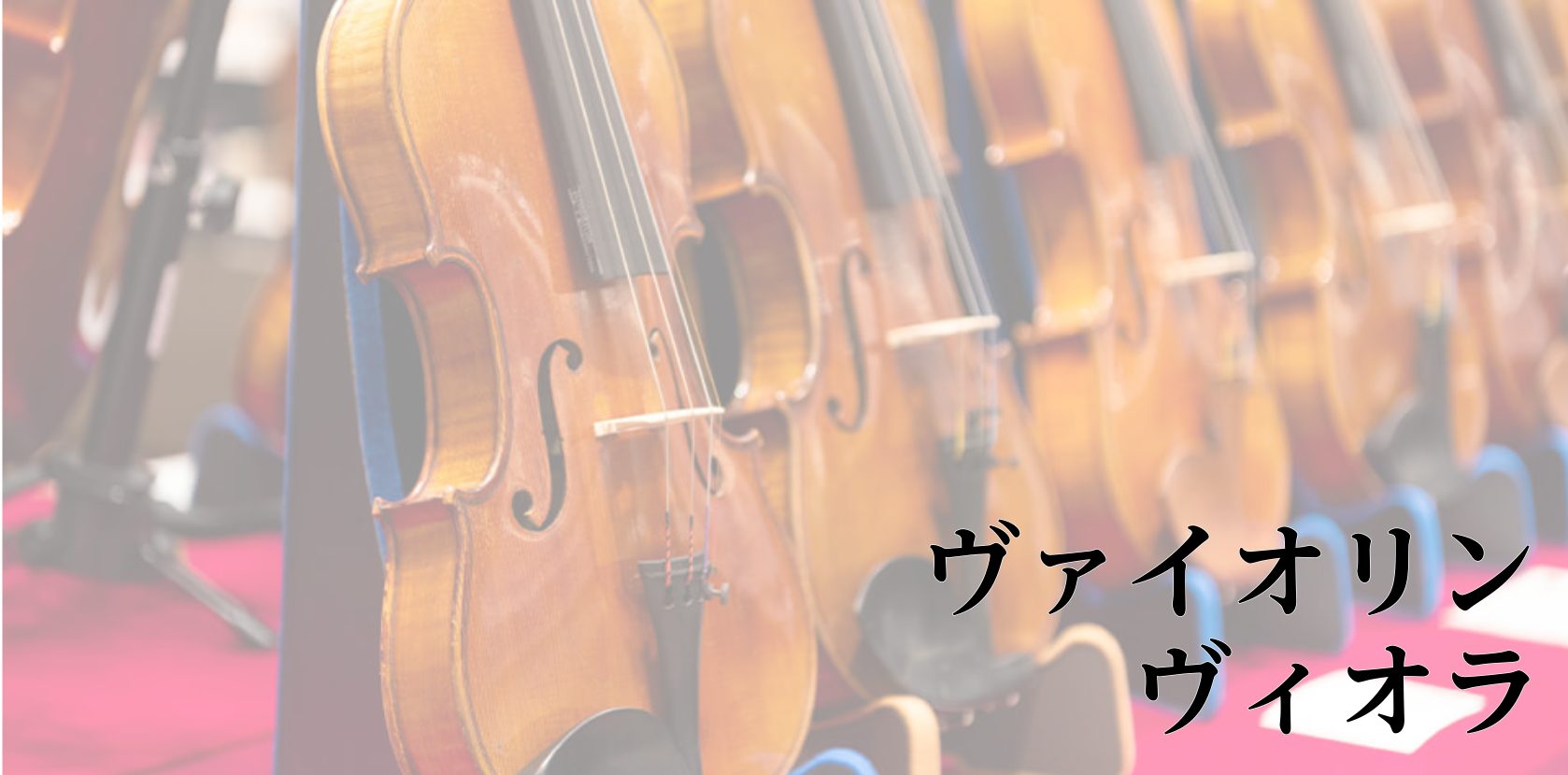 展示ラインナップ】バイオリン・ヴィオラ 展示一覧 Violin Viola