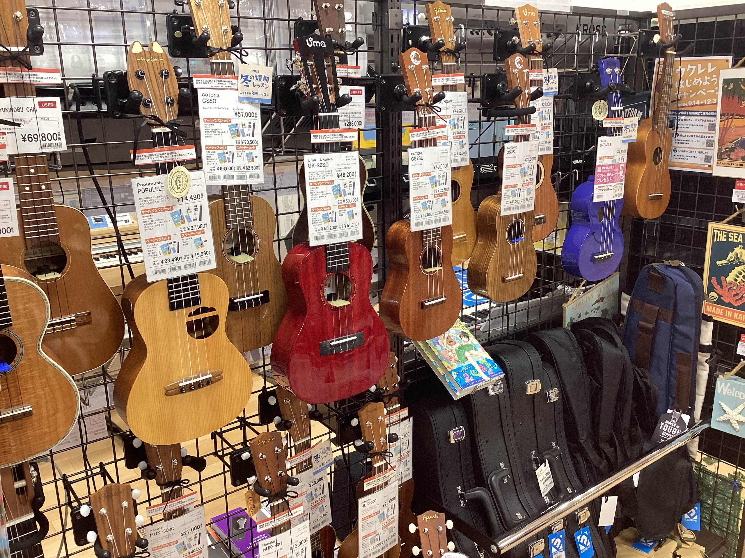 【ウクレレ】当店のウクレレラインナップをご紹介します♪
