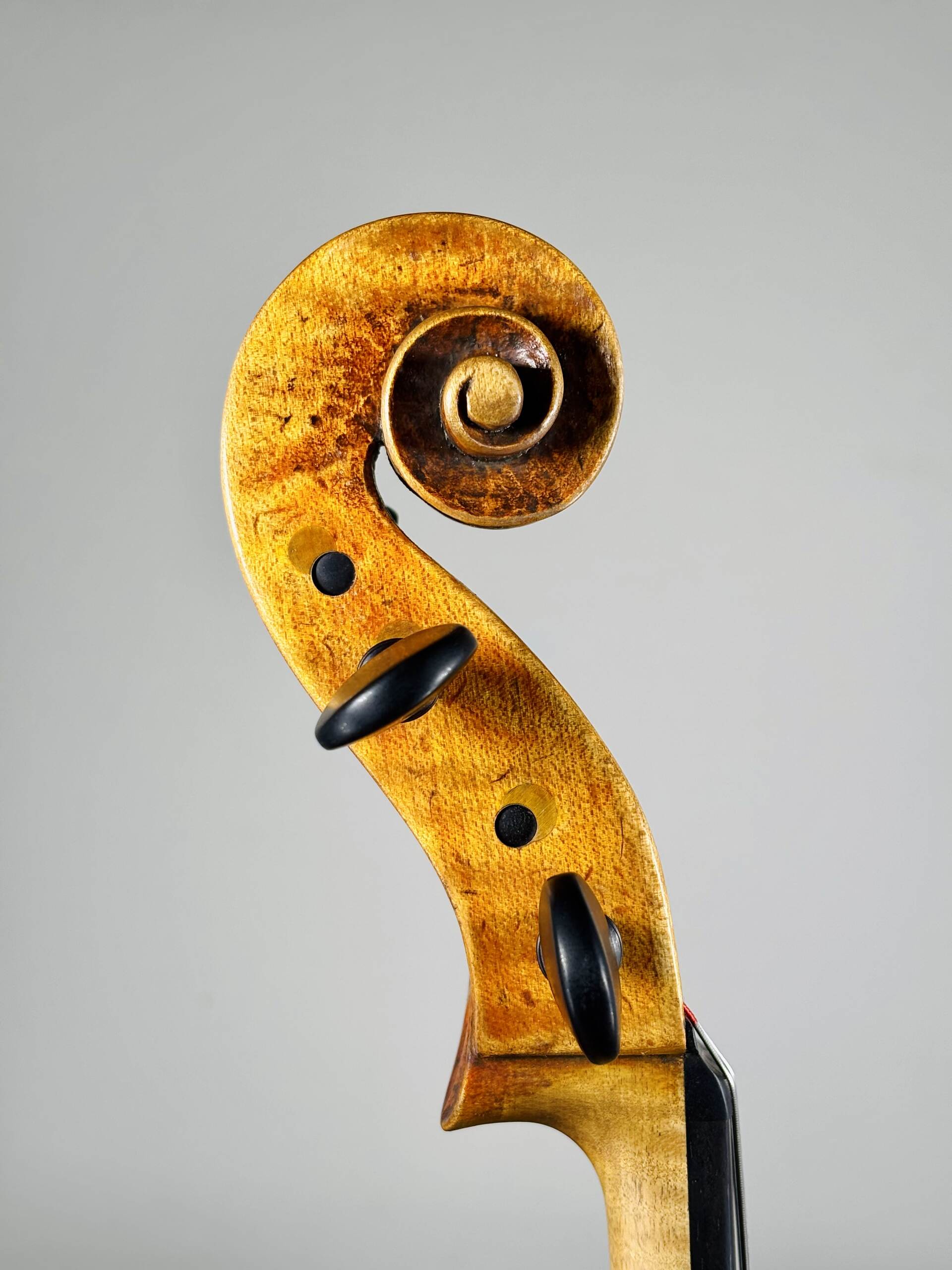 ＜Viola＞ Tetsuya Kimura, Japan – Tokyo, 2025, Model; Andrea Guarneri 1690　ヴィオラ　木村哲也