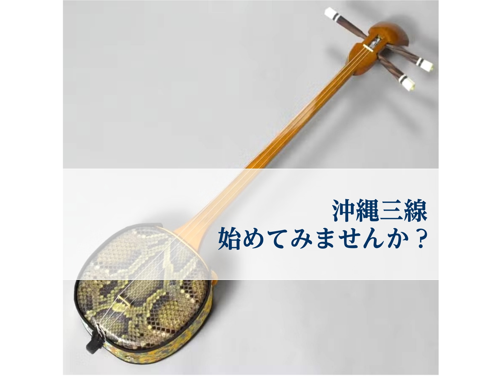 沖縄三線、始めてみませんか？