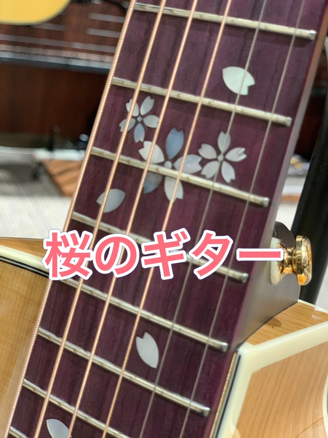 ハマちゃんの音楽通信　Vol.11　さくらのギター