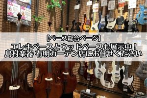 エレキベースからウッドベースまで！ベース選びは有明ガーデン店にお任せください！