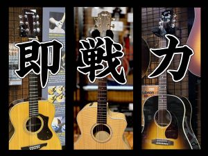 【即戦力アコースティックギターのご紹介！ライブ向けオススメ機種多数展示中！