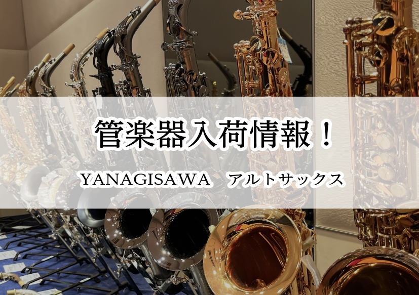 【入荷情報】A-WO20 ヤナギサワ 入荷しました！【島村楽器イオンモール橿原店】