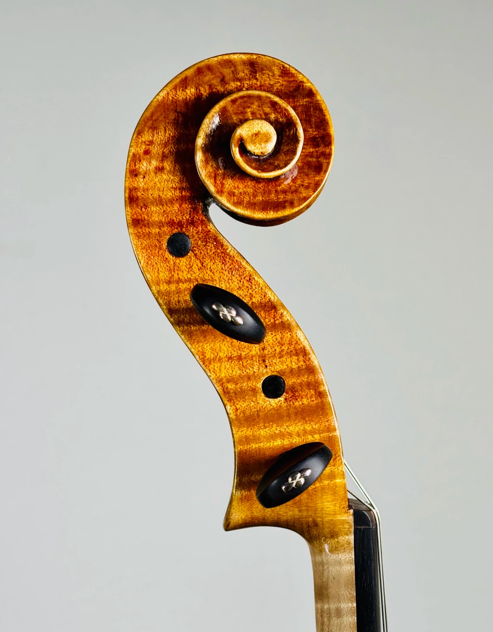 ＜Viola＞ Filippo Fasser, Italy – Brescia, 2025, Model; Model; Gasparo da Salo, 44.2cm　ヴィオラ　フィリッポ・ファッサー